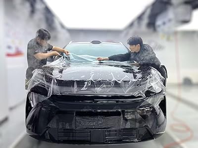 Paint Protection